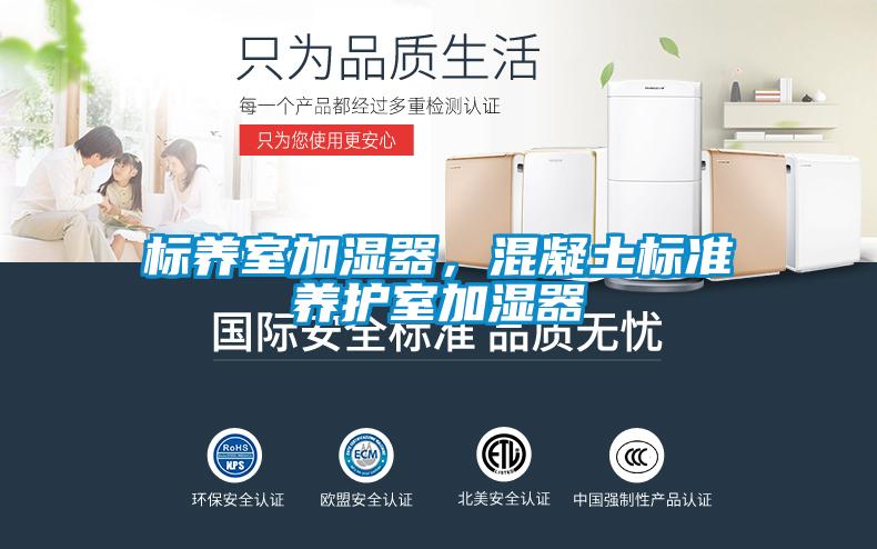标养室加湿器，混凝土标准养护室加湿器