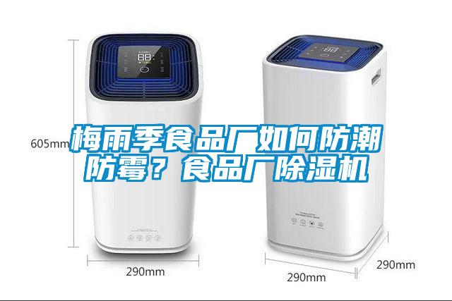 梅雨季食品厂如何防潮防霉？食品厂芭乐APP下载官网入口新版