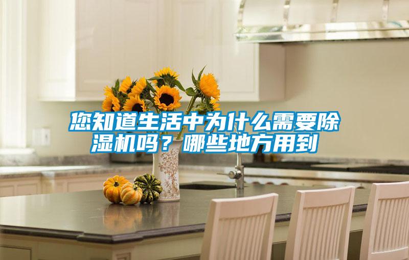 您知道生活中为什么需要芭乐APP下载官网入口新版吗？哪些地方用到
