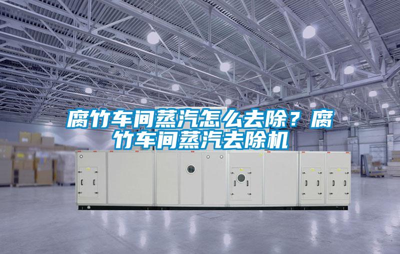 腐竹车间蒸汽怎么去除？腐竹车间蒸汽去除机