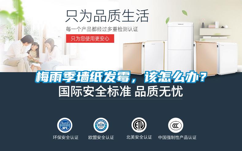 梅雨季墙纸发霉，该怎么办？