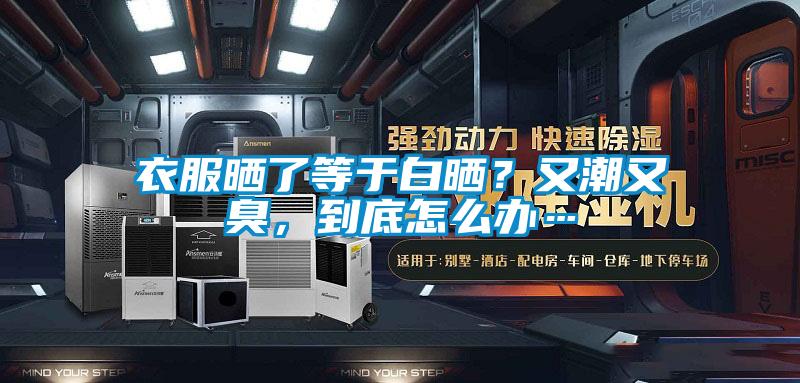 衣服晒了等于白晒？又潮又臭，到底怎么办…