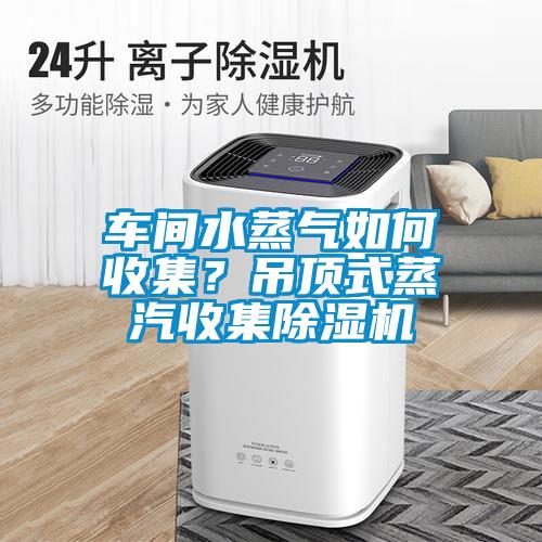 车间水蒸气如何收集？吊顶式蒸汽收集芭乐APP下载官网入口新版