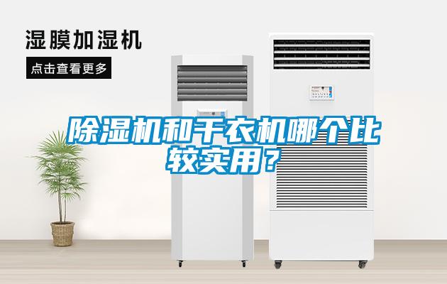 芭乐APP下载官网入口新版和干衣机哪个比较实用？