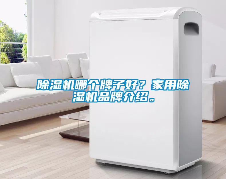 芭乐APP下载官网入口新版哪个牌子好？家用芭乐APP下载官网入口新版品牌介绍。