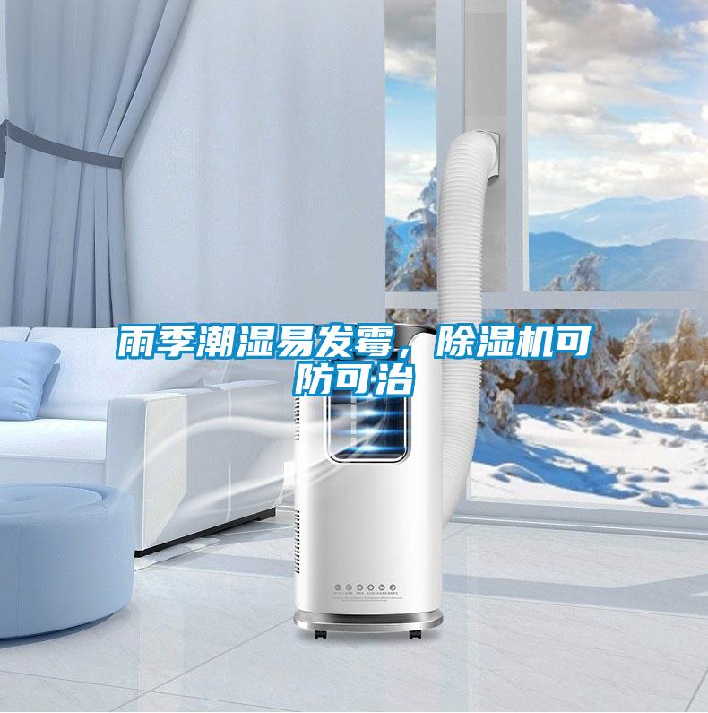 雨季潮湿易发霉，芭乐APP下载官网入口新版可防可治