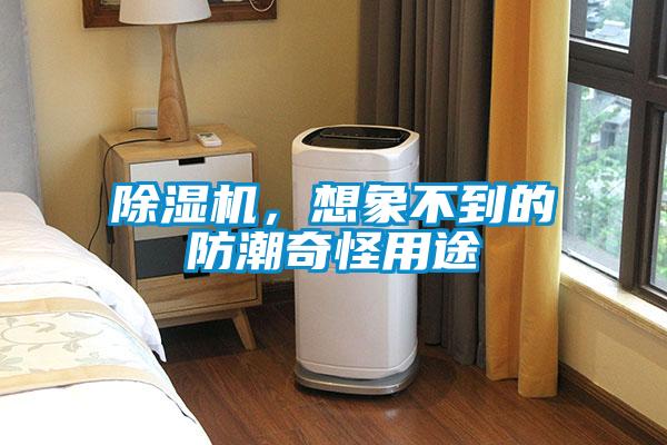 芭乐APP下载官网入口新版，想象不到的防潮奇怪用途