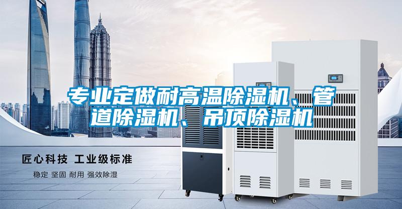 专业定做耐高温芭乐APP下载官网入口新版、管道芭乐APP下载官网入口新版、吊顶芭乐APP下载官网入口新版