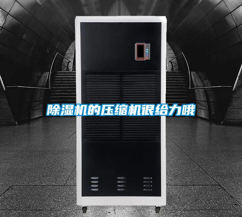 芭乐APP下载官网入口新版的压缩机很给力哦