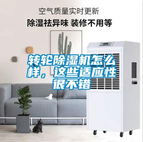 转轮芭乐APP下载官网入口新版怎么样，这些适应性很不错