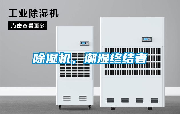芭乐APP下载官网入口新版，潮湿终结者