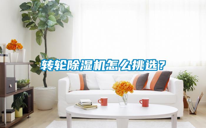 转轮芭乐APP下载官网入口新版怎么挑选？