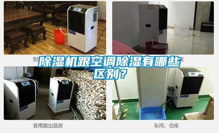 芭乐APP下载官网入口新版跟空调除湿有哪些区别？