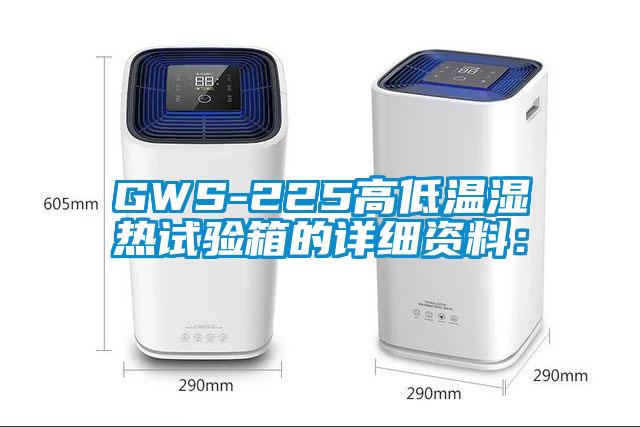 GWS-225高低温湿热试验箱的详细资料：