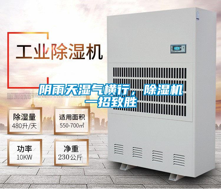 阴雨天湿气横行，芭乐APP下载官网入口新版一招致胜