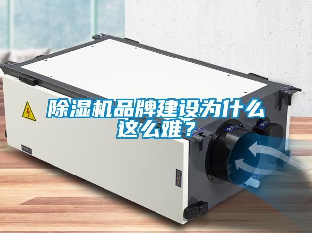 芭乐APP下载官网入口新版品牌建设为什么这么难？
