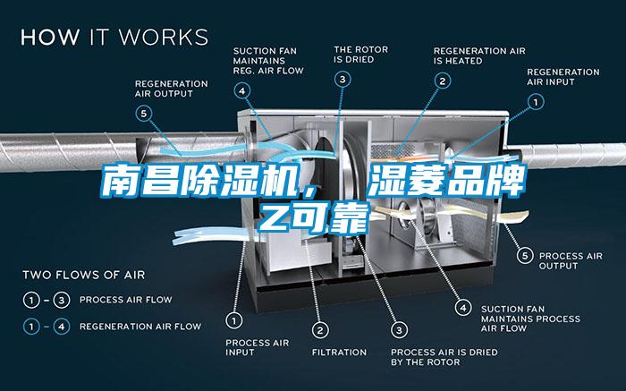 南昌芭乐APP下载官网入口新版， 湿菱品牌Z可靠