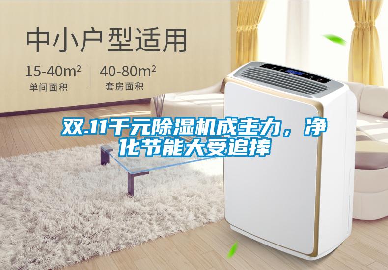 双.11千元芭乐APP下载官网入口新版成主力，净化节能大受追捧