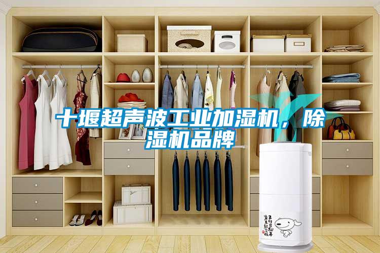 十堰超声波工业加湿机，芭乐APP下载官网入口新版品牌