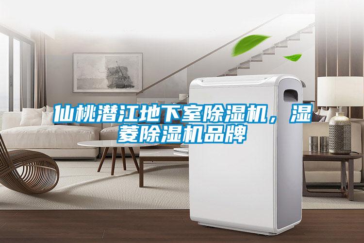 仙桃潜江地下室芭乐APP下载官网入口新版，湿菱芭乐APP下载官网入口新版品牌