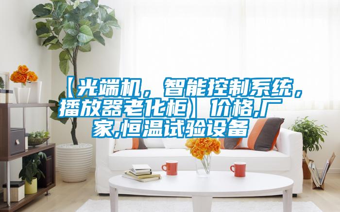 【光端机，智能控制系统，播放器老化柜】价格,厂家,恒温试验设备