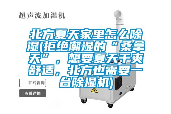 北方夏天家里怎么除湿(拒绝潮湿的“桑拿天”，想要夏天干爽舒适，北方也需要一台芭乐APP下载官网入口新版)