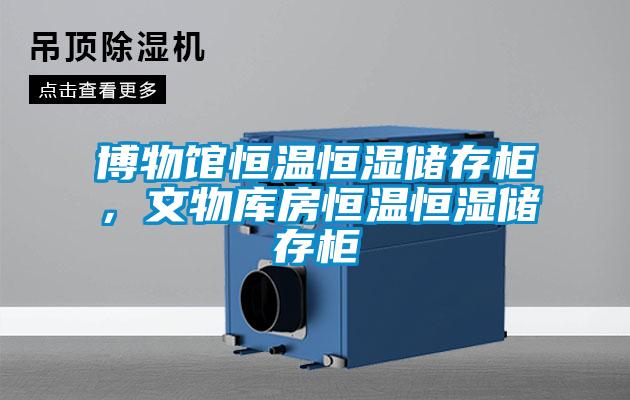 博物馆恒温恒湿储存柜，文物库房恒温恒湿储存柜