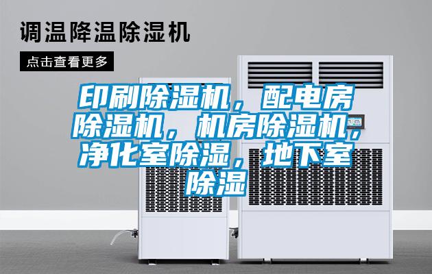印刷芭乐APP下载官网入口新版，配电房芭乐APP下载官网入口新版，机房芭乐APP下载官网入口新版，净化室除湿，地下室除湿