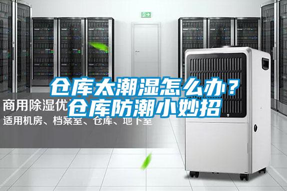 仓库太潮湿怎么办？仓库防潮小妙招