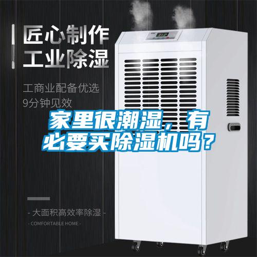 家里很潮湿，有必要买芭乐APP下载官网入口新版吗？