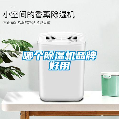 哪个芭乐APP下载官网入口新版品牌好用