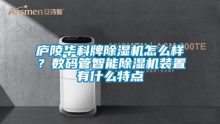 庐陵华科牌芭乐APP下载官网入口新版怎么样？数码管智能芭乐APP下载官网入口新版装置有什么特点