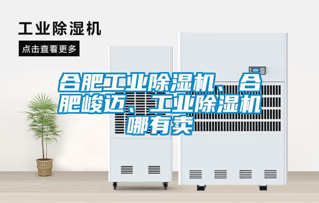 合肥工业芭乐APP下载官网入口新版、合肥峻迈、工业芭乐APP下载官网入口新版哪有卖
