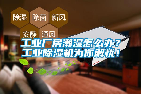 工业厂房潮湿怎么办？工业芭乐APP下载官网入口新版为你解忧！