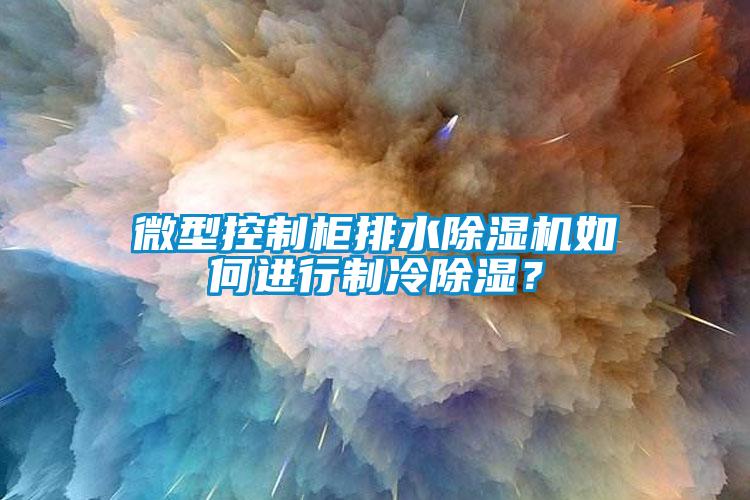 微型控制柜排水芭乐APP下载官网入口新版如何进行制冷除湿？