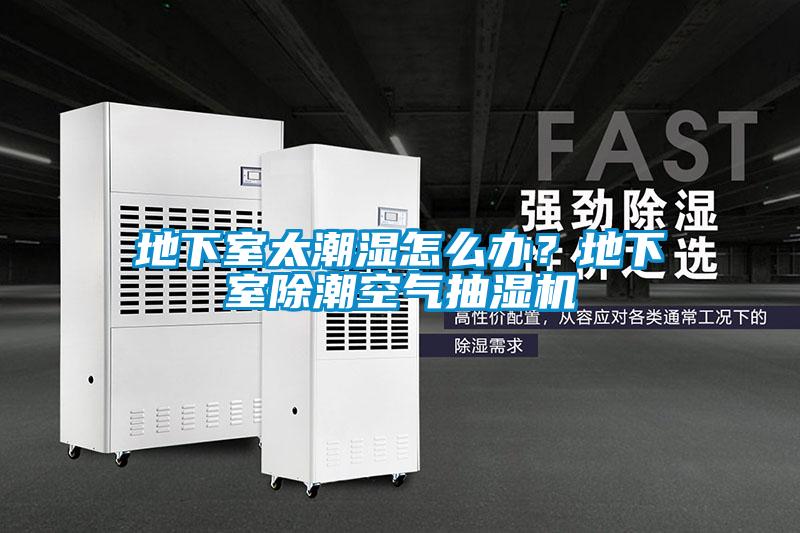地下室太潮湿怎么办？地下室除潮空气抽湿机