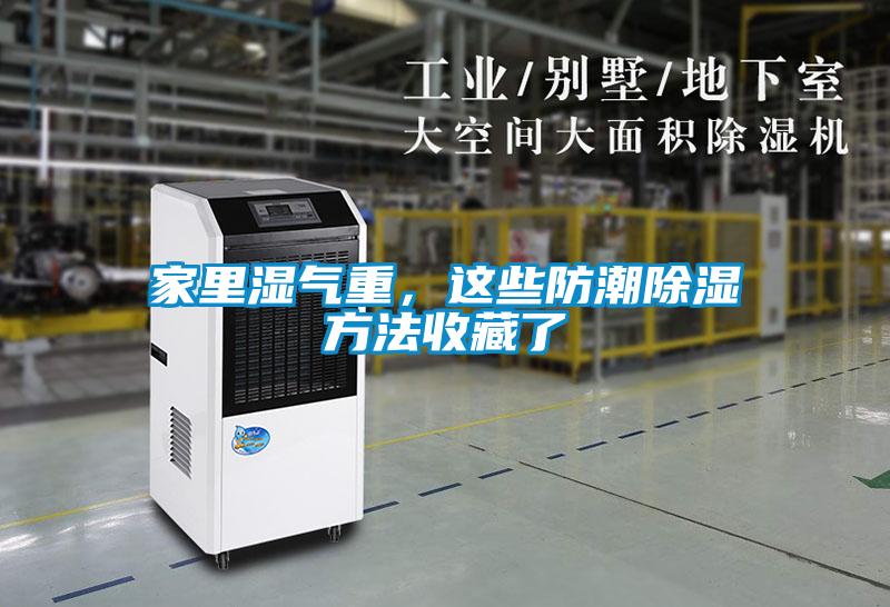 家里湿气重，这些防潮除湿方法收藏了