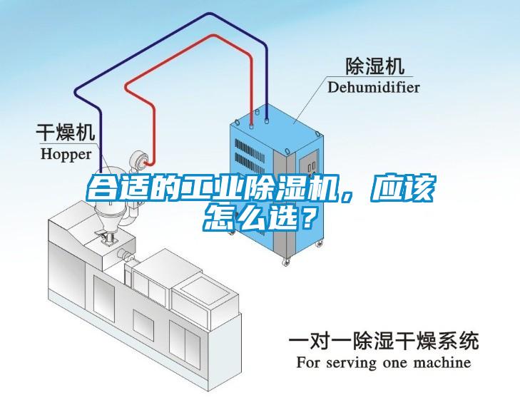 合适的工业芭乐APP下载官网入口新版，应该怎么选？