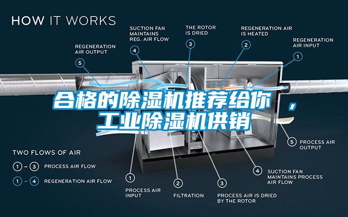 合格的芭乐APP下载官网入口新版推荐给你 ，工业芭乐APP下载官网入口新版供销
