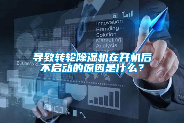 导致转轮芭乐APP下载官网入口新版在开机后不启动的原因是什么？