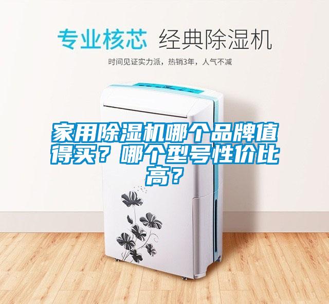 家用芭乐APP下载官网入口新版哪个品牌值得买？哪个型号性价比高？