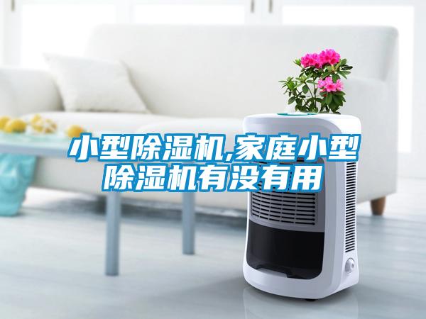 小型芭乐APP下载官网入口新版,家庭小型芭乐APP下载官网入口新版有没有用