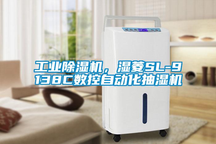 工业芭乐APP下载官网入口新版，湿菱SL-9138C数控自动化抽湿机