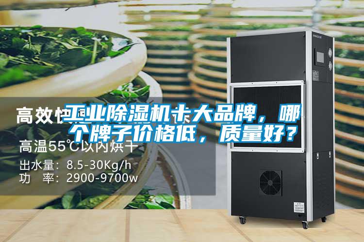 工业芭乐APP下载官网入口新版十大品牌，哪个牌子价格低，质量好？