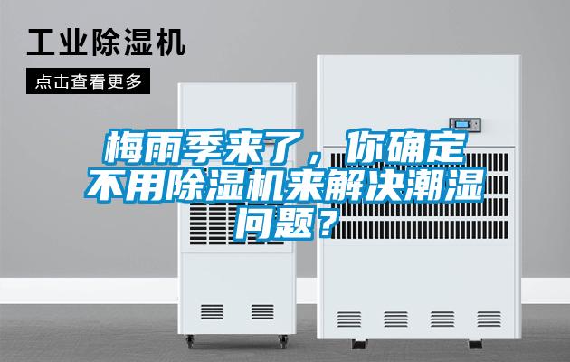 梅雨季来了，你确定不用芭乐APP下载官网入口新版来解决潮湿问题？