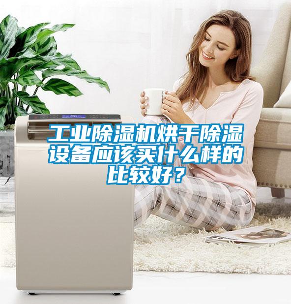 工业芭乐APP下载官网入口新版烘干除湿设备应该买什么样的比较好？