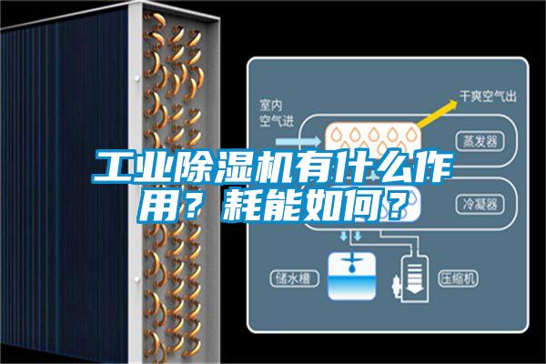 工业芭乐APP下载官网入口新版有什么作用？耗能如何？