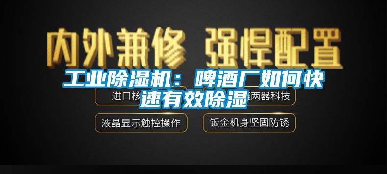 工业芭乐APP下载官网入口新版：啤酒厂如何快速有效除湿