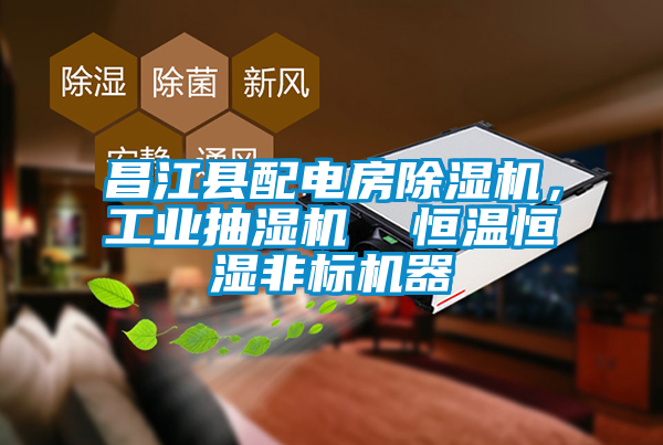 昌江县配电房芭乐APP下载官网入口新版，工业抽湿机  恒温恒湿非标机器