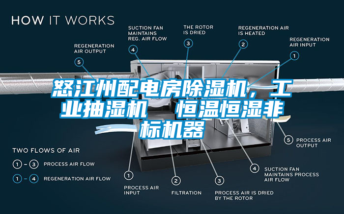怒江州配电房芭乐APP下载官网入口新版，工业抽湿机  恒温恒湿非标机器